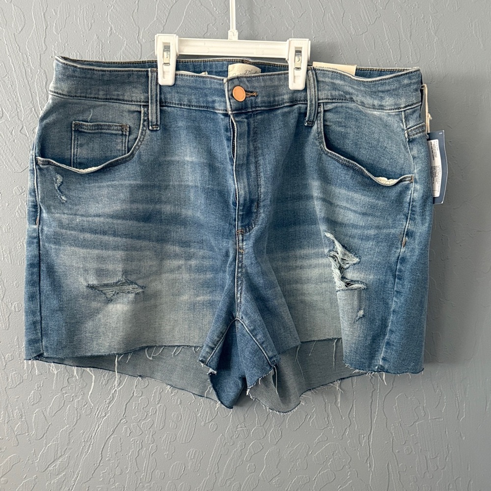 Universal Thread Blue Distressed Jean Shorts